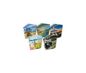 PROJECT X:ORI REC PINK 1+:MY HOME CL PK OF 30