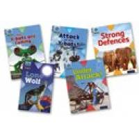 PROJECT X:BROWN BAND STRONG DEFENCES PK OF 5