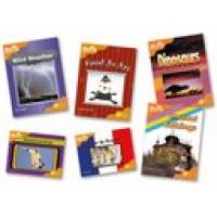 ORT:STG 6 FIREFLIES A PACK OF 6
