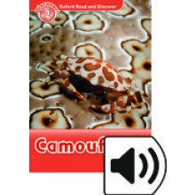 ORD 2:CAMOUFLAGE MP3 PK