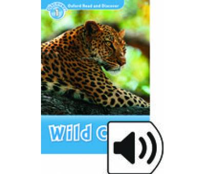 ORD 1:WILD CATS MP3 PK