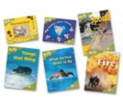 ORT:STG 7 FIREFLIES PACK OF 6